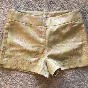 J Crew Shorts